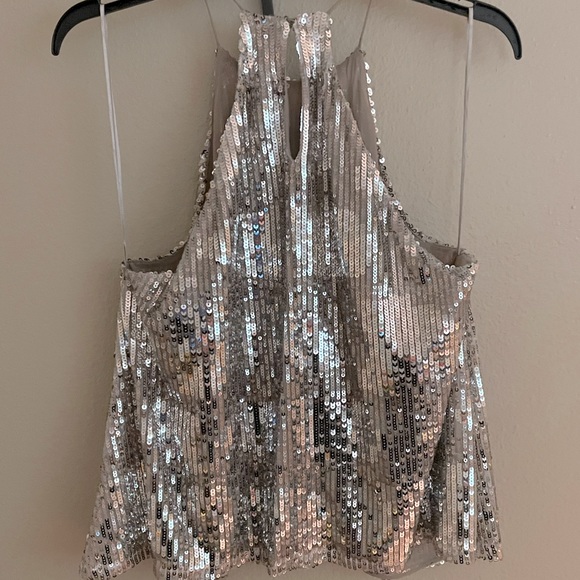 COPY - NEW Zara Sequin Halter Top - Picture 6 of 6